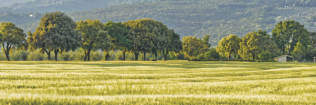 header-paesaggio